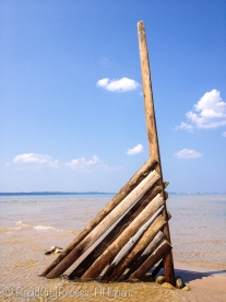 driftwood structure