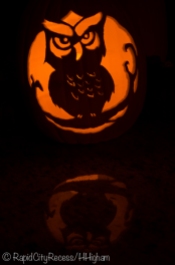 owloween pumpkin-2